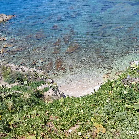 Tramonti D'alba Terrasini